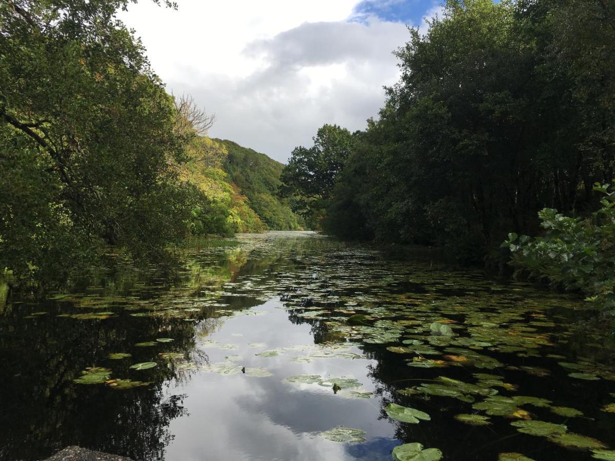 Burnbank Bnb Tobermory Dış mekan fotoğraf