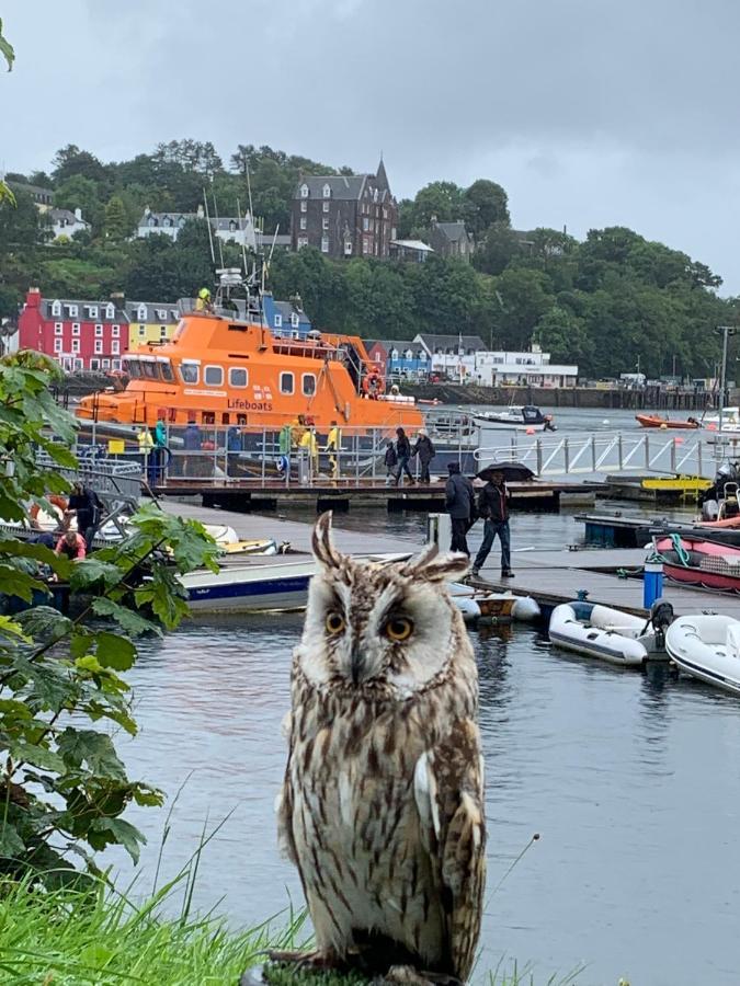 Burnbank Bnb Tobermory Dış mekan fotoğraf